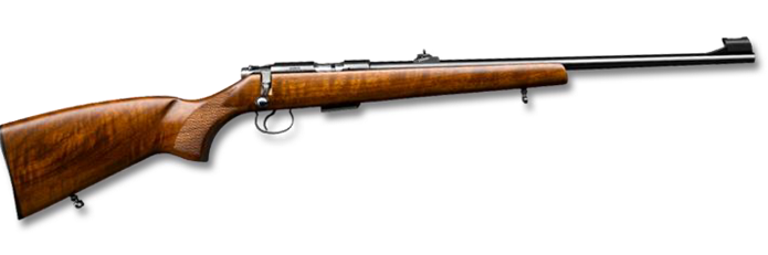 Formation Nouveaux Tireurs Carabine 22LR